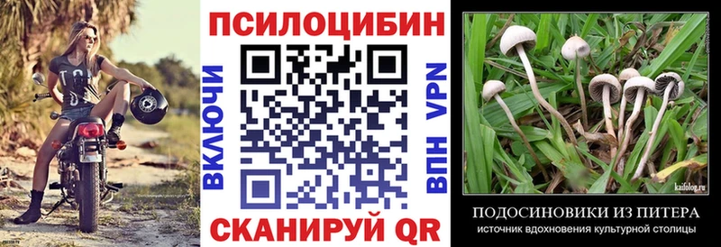Псилоцибиновые грибы мицелий  Купить  Неман 